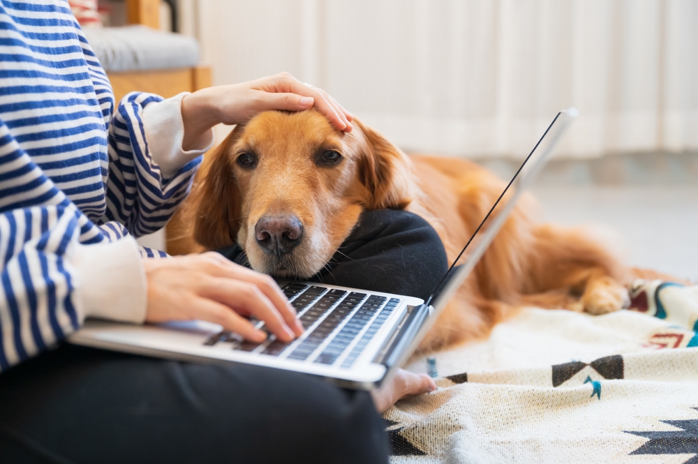Artificial Intelligence in Modern Pet Care